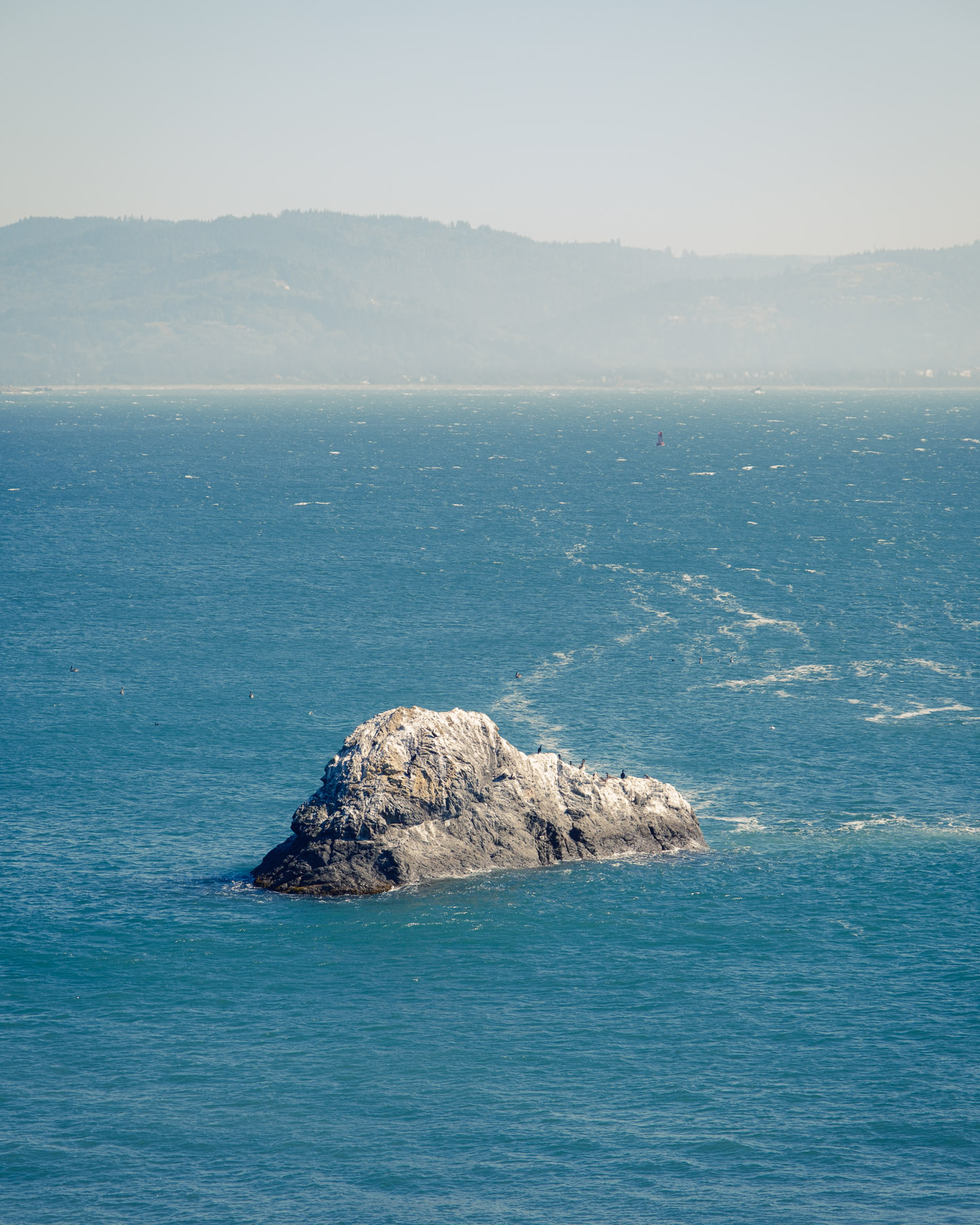 Pacific Northwest Road Trip photo titled Pacific Coast 18